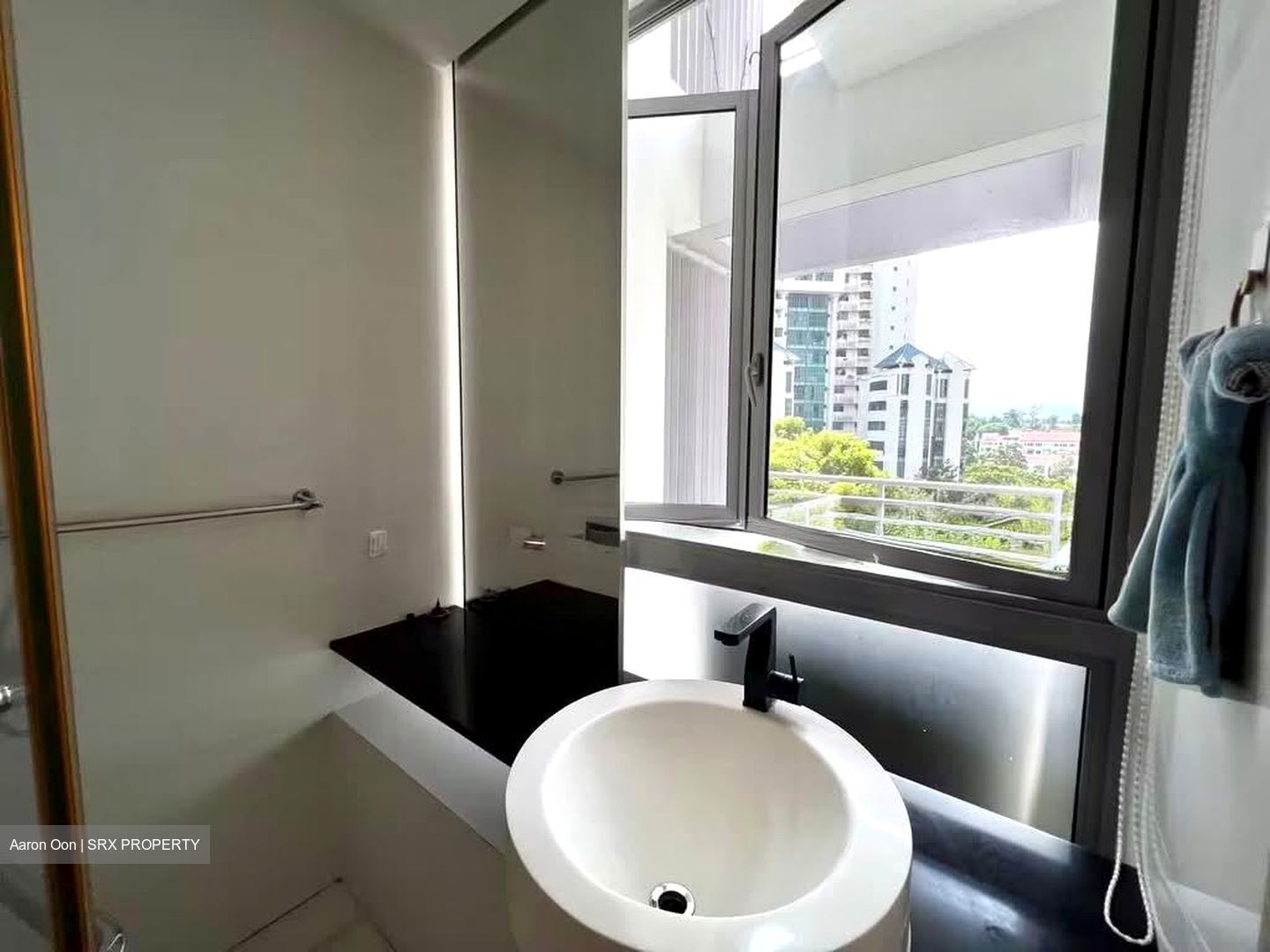 Ascentia Sky (D3), Condominium #553697721